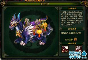 神兽玄武最新爆料,神秘力量与传奇传说的背后真相